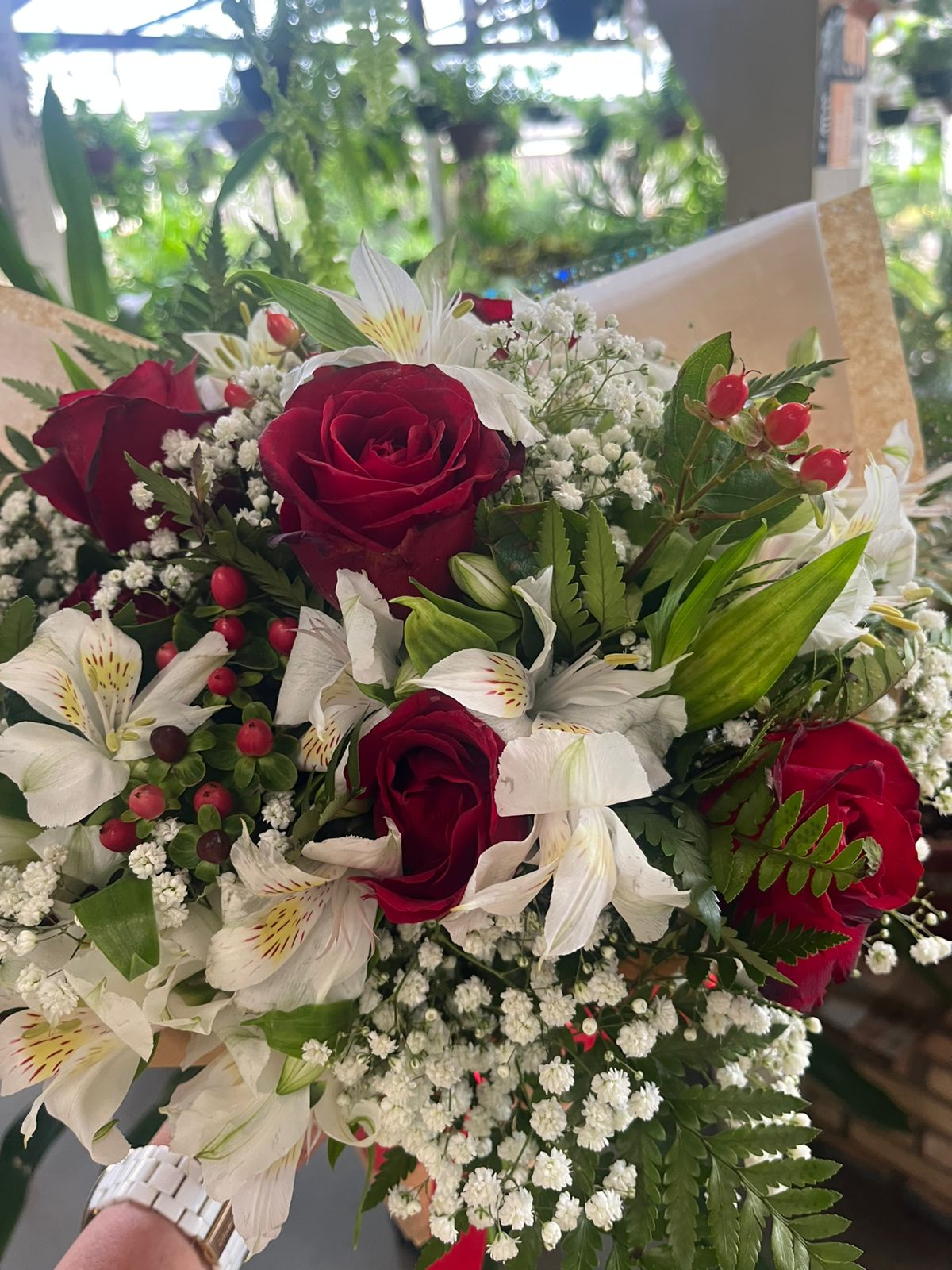 Pimenteiras ornamentais